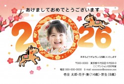 j_apy4080w_or01